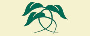 Park Lane Logo